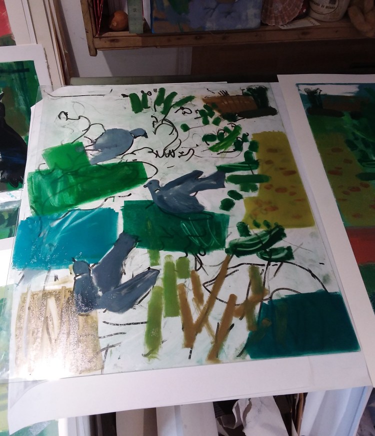 Pigeons in the holly - 2nd layer of ink painted onto acrylic sheet, to be printed over first colour layer